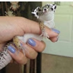 Meet your Posher, Kyra